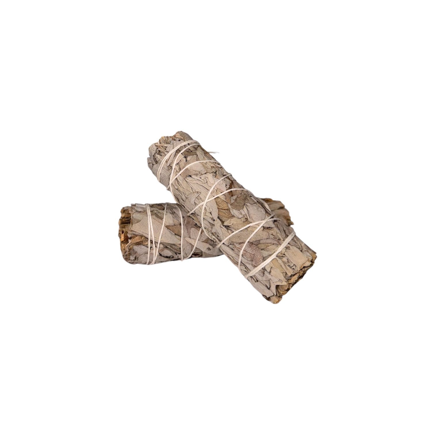 Salvia Blanca (11 cm ) 25-35 gr