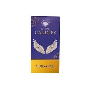 Vela Ritual Guia (10 und)